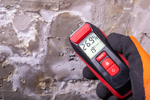Mold Removal and Inspection in Hideout, UT