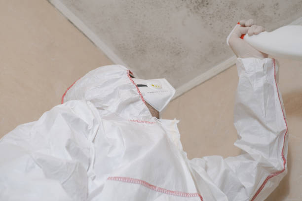 Best Mold Testing  in Hideo, UT