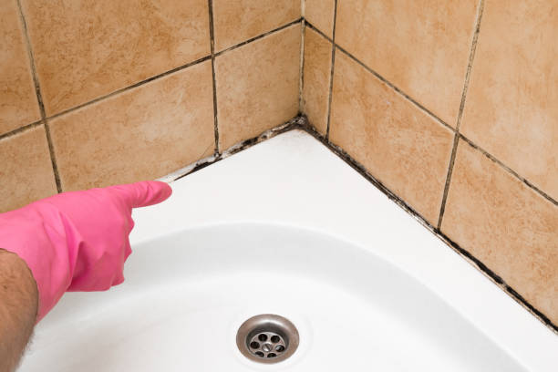 Best Mold Removal Company Near Me  in Hideo, UT
